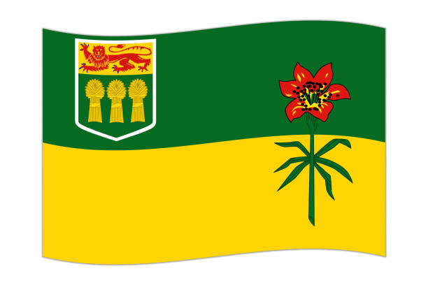 ilustrações, clipart, desenhos animados e ícones de agitando a bandeira de saskatchewan, província do canadá. ilustração vetorial. - saskatchewan flag canada banner