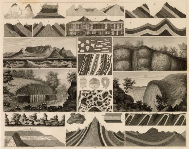 Discover our diverse collection of 1851 Johann Heck antique stock images, perfect for digital creatives. Explore historical maps, intricate anatomical prints, detailed botanical illustrations, and rich zoology and geology engravings. Ideal for designers, educators, and content creators seeking authentic, high-quality visuals to elevate their projects. Unlock a world of inspiration and add a touch of historical depth to your digital work with our meticulously curated images.