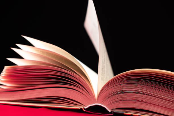 istock Pages of a thick book are turned on a pink and black background 2108990559
