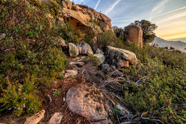 istock Amanecer en La Pedriza 2109021258
