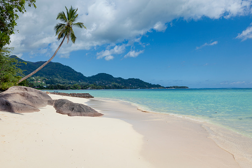 white sand dream beach, mahé island, seychelles.