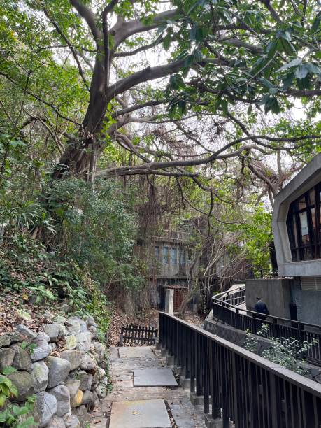 istock The stairs in Beitou 2109062415
