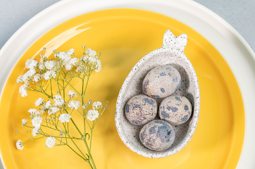 Creative plate with bunnies ears with quail eggs and white Gypsophila twig on yellow and white plates close up. Holiday table setting. Idea of elegant Easter table serving. Top view.