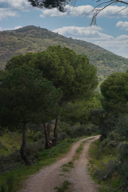 istock landscape, view, mountains, plants, trees, hiking, tourism, nature, spring, flora, spain, greenery, 2109122832