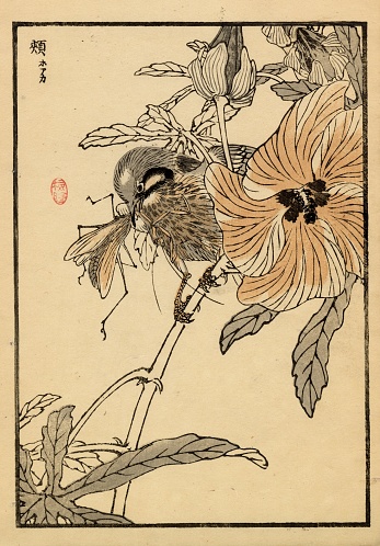 You're looking at a beautiful piece of Japanese woodblock art from our collection of original 1881 prints by noted artist, Kono Bairei; Created for one of his best-known publications 'one hundred birds'. Most of the bird species throughout this collection were native to Japan, with a few domesticated and some imported cage birds. Bairei was born and lived in Kyoto. He was apprenticed to the Maruyama printer Nakajima Raiso at the age of eight. He was a pupil of Shijo artist Shiokawa Bunrin and followed the Nanga school tradition. He established the Kyoto Prefectural School of Painting before opening his own studio to students and retiring from teaching.