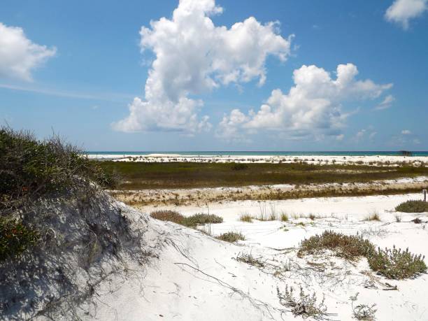 istock Dry Tortugas National Park 2109183062