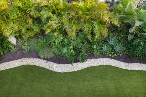 Aerial view of a meticulously landscaped tropical garden, featuring lush tropical trees on one side and a pristine stretch of green lawn on the other, divided by a border of decorative white stones.