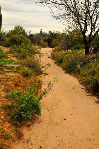 Arizona arroyo dry stream bed that provides a temporary drainage channel for flash floods