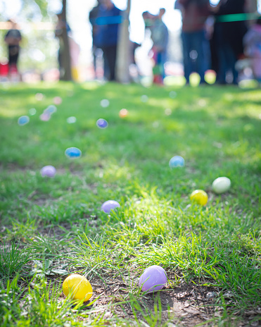 Colorful Easter egg on green grass meadow with blurry long line of diverse kids parents waiting for egg hunt tradition at local Church in Dallas, Texas, decorated Paschal for Christian holiday. USA