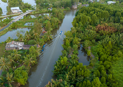 Wetlands in Ca Mau province, canal with nipa palm forest on both sides