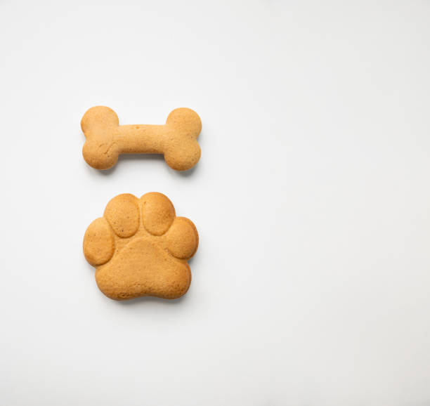 istock Bone and paw shaped gingerbread cookies 2109254893