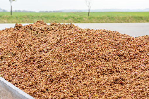 apple pomace - nutrient rich by-product from apple juice pressing, ideal for winter feeding of wild game