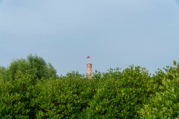 The Hanoi Flagpole project at Ca Mau Cape was researched and designed to simulate the ancient Hanoi Flagpole architecture, built solidly and modernly to withstand storms and sea erosion. The project was built with a total cost of about 140 billion VND. The flagpole has a total area of more than 16,000 m2 and a height of 45m, allowing visitors to climb to the upper floors to see the panoramic view of the Ca Mau mangrove forest, the vast East Sea, and the cluster of poetically beautiful islands between the East and West Seas. West Coast mudflats.