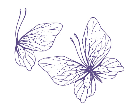 Delicate butterflies with patterns on the wings, simple, sweet, light, romantic. Illustration graphically hand-drawn in lilac ink in line style. Set of isolated EPS vector objects.