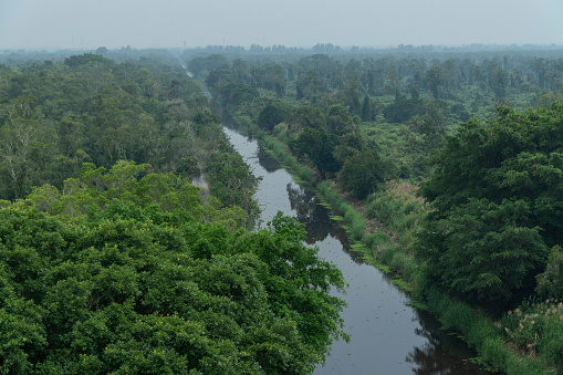 U Minh Ha cajuput forest is a natural forest with an area of up to 35,000 hectares. There is a diverse ecosystem here with many rare plants and animals. On sunny summer days, this place has cool, fresh air and vast green cover as if to dispel the hot sun.