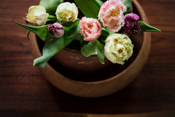 close up of beautiful everyday objects