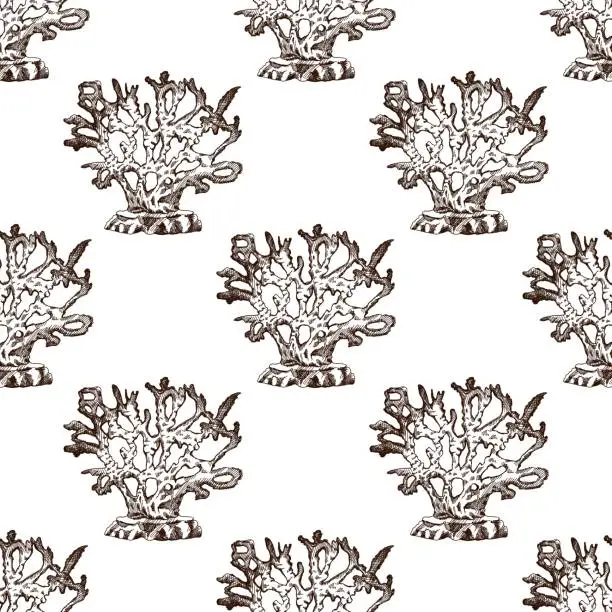 Vector illustration of Hand-drawn coral seamless pattern. Underwater tropical reef element. Vector engraved illustrations isolated on white background.