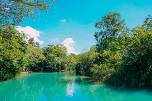 Partial view of the Formoso River, in the municipal resort, in Bonito, in Mato Grosso do Sul. The city is one of the main ecotourism destinations in Brazil. Its main attractions are the natural landscapes, diving in rivers with clear waters, waterfalls, caves, caves, sinkholes and spas. vista parcial del río formoso, en el balneario municipal, en bonito, en mato grosso do sul. la ciudad es uno de los principales destinos ecoturísticos de brasil. sus principales atractivos son los paisajes naturales, buceo en ríos de aguas cristalinas,