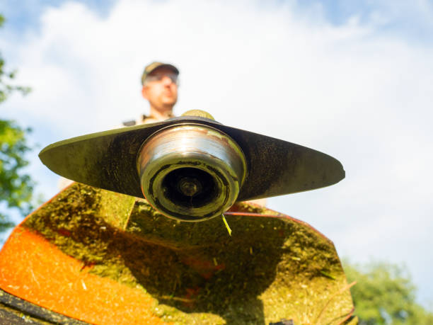 istock A male worker mows the grass with a gasoline trimmer. Bottom view, selective focus on the trimmer blade. 2109315556