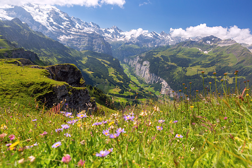 Landscape in austria at springtime in the Bregenz Forest with the small village Au. In the background is the snow covered mountain Kanisfluh, in the foreground a lush blooming meadow.