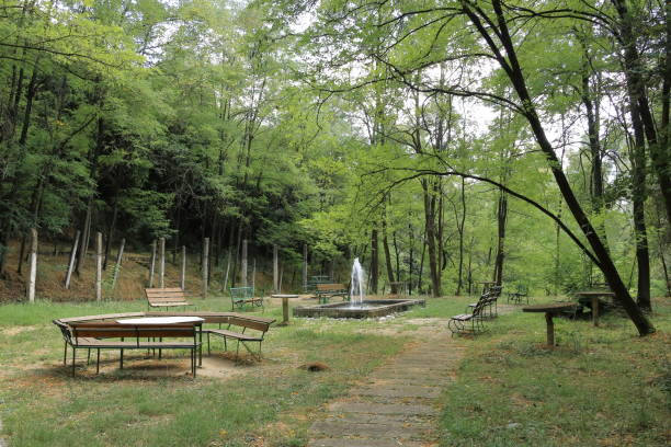 istock An abandoned playground in east Europe 2109330067