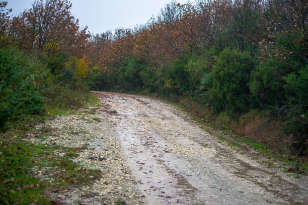 istock Leafy Tracks: Muddy Road in Nature's Embrace 2109332936