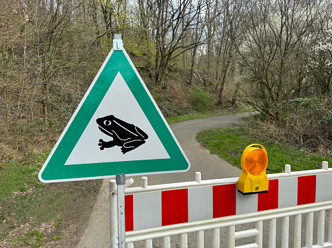 Roads are closed so as not to endanger the toads during their migration.