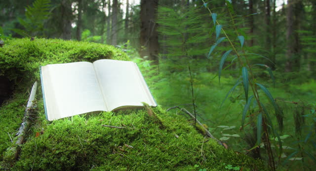 An open book rests upon a mossy knoll, inviting contemplative solitude. The written word merges with nature, knowledge and serenity.