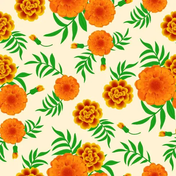 Vector illustration of Marigolds, leaves and buds