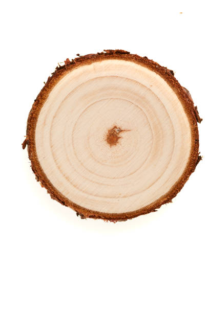 Wood plank to use as background and texture.