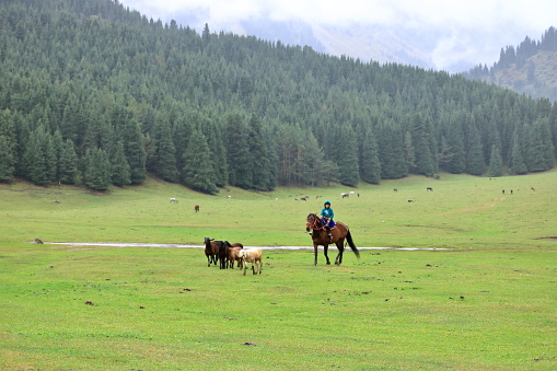 August 28 2023 - Jeti Oguz, Issyk-Kul Region in Kyrgyzstan: locals riding horses in the mountains on a cloudy day