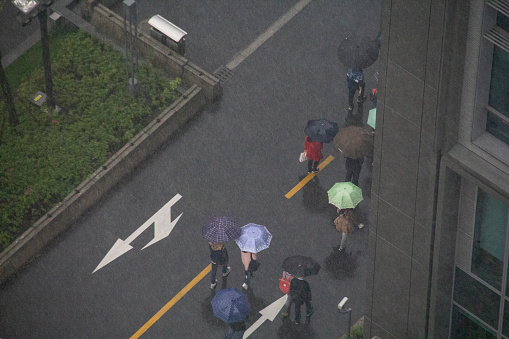 Shanghai, China - april 16, 2017 - People walk with umbrellas in the rain