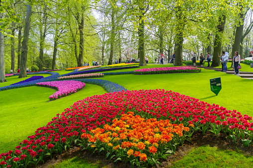 Lisse, Netherlands - April 22, 2018: Lots of people enjoying the blooming tulips in the Keukenhof, the most beautiful spring garden in the world.