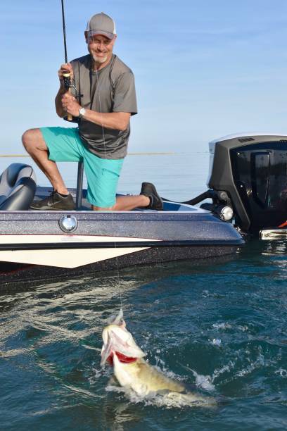 istock Lake St. Clair Smallmouth 9/12/20 2109546694