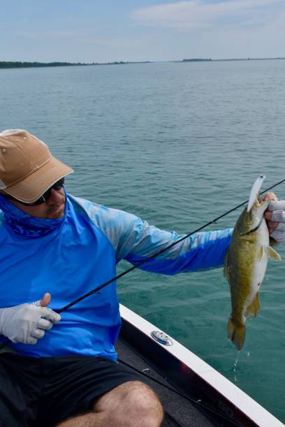 istock Lake St. Clair Smallmouth 9/12/20 2109546695