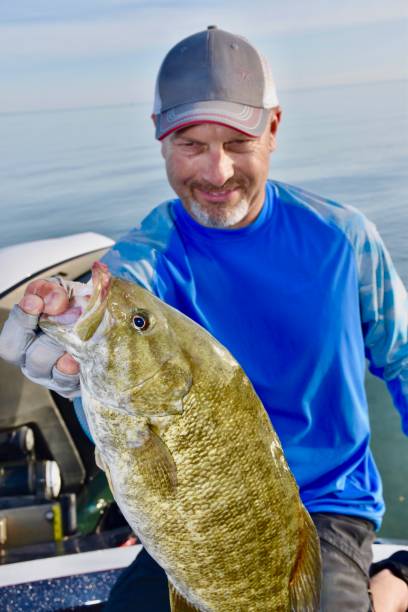 istock Lake St. Clair smallmouth 9/12/20 2109547718