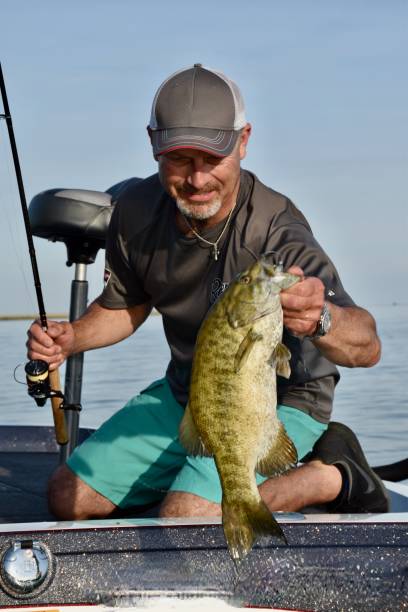 istock Lake St. Clair smallmouth 9/12/20 2109547722