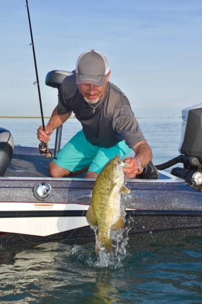 istock Lake St. Clair smallmouth 9/12/20 2109547723