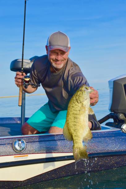 lake st. clair smallmouth 9/12/20 - smallmouth bass fotos - fotografias e filmes do acervo