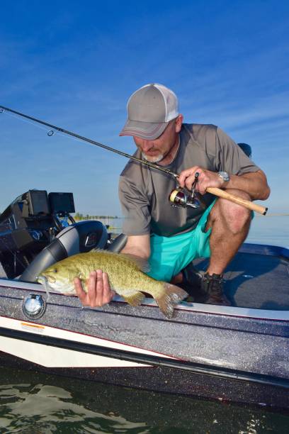 istock Lake St Clair smallmouth 9/12/20 2109548757