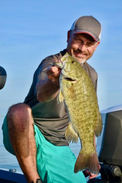istock Lake St Clair smallmouth 9/12/20 2109548759