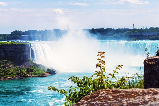 View of Niagara Falls from behind a green bush from the Canadian side