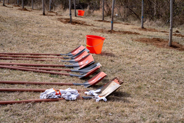 Shovel for planting trees,Green environmental protection concept