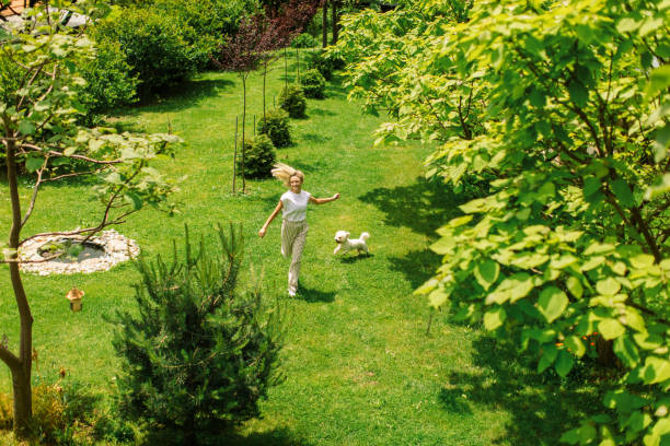 istock Young woman playing with dog on in backyard 2109599272