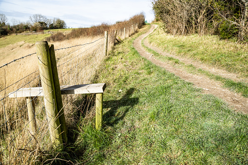 Pewley Down countryside footpath Guildford Surrey England Europe