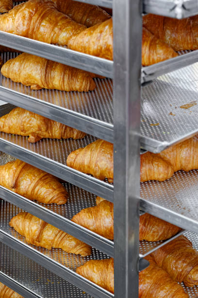 Fresh croissants on a steel kitchen rack