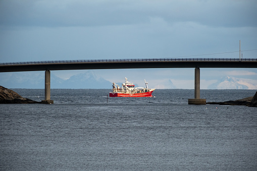 Large orange ferry boat travelling under a bridge in Lofoten, Norway in the Arctic Ocean.  Shot on a telephoto lens on a Sony mirrorless camera.