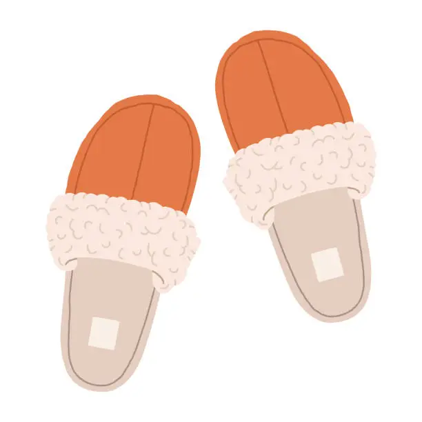 Vector illustration of Home footwear. Cozy sheepskin indoor shoes, warm and comfy domestic slippers flat vector illustration. Cute house shoes