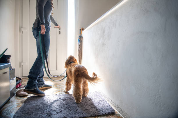 istock Going out for a walk with the dog 2109743035