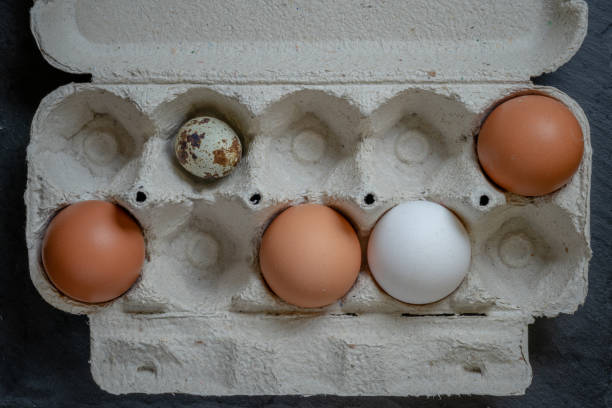 istock Fresh quail and chicken eggs in a paper tray, top view selective focus 2109744057